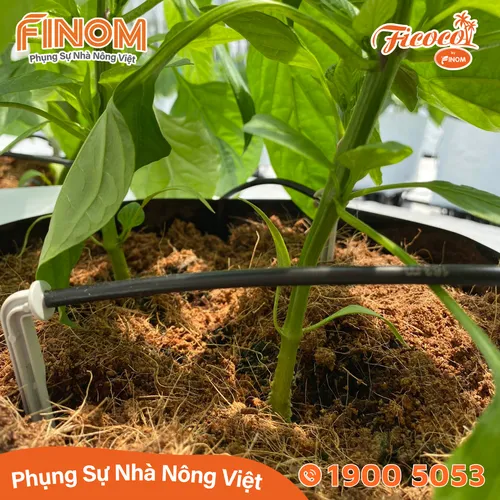 Giá thể xơ dừa xử lý Canxi 50/50