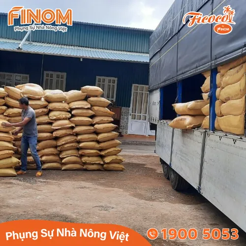 Giá thể xơ dừa xử lý Canxi 70/30