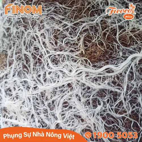 Giá thể xơ dừa xử lý Canxi 70/30