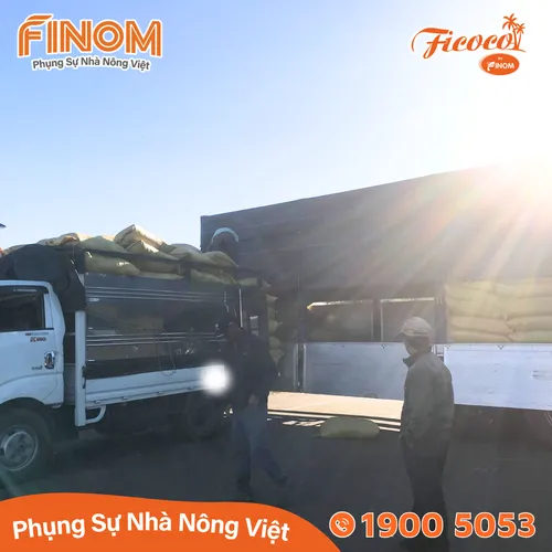 Giá thể xơ dừa xử lý xả chát 95/5