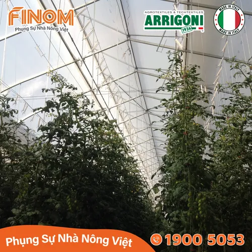 Lưới chắn côn trùng Arrigoni Biorete Air Plus 50 mesh
