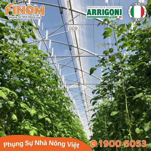 Lưới chắn côn trùng Arrigoni Biorete Air Plus 50 mesh