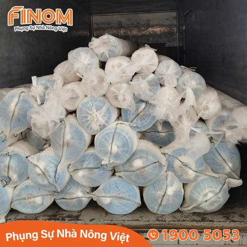Lưới chống côn trùng GreenPro