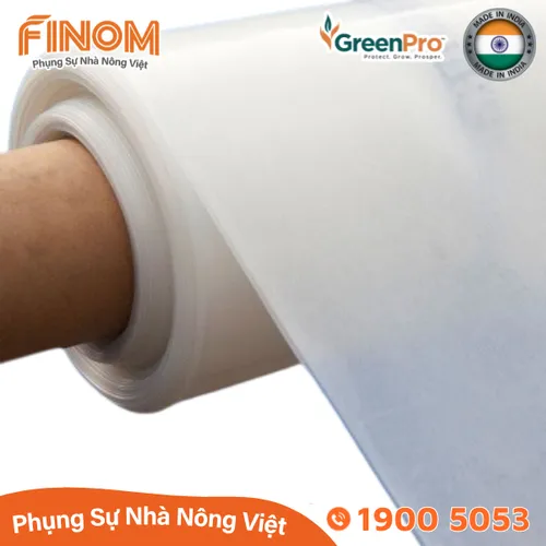Màng lợp nhà kính GreenPro (Ấn Độ) - khổ 3.2m