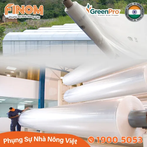 Màng lợp nhà kính GreenPro (Ấn Độ) - khổ 3.2m