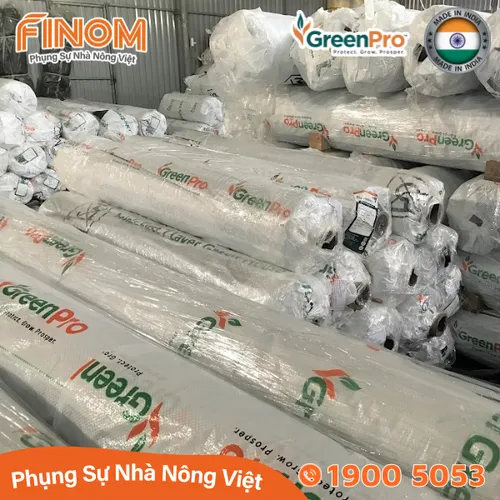Màng lợp nhà kính GreenPro (Ấn Độ) - khổ 3.2m