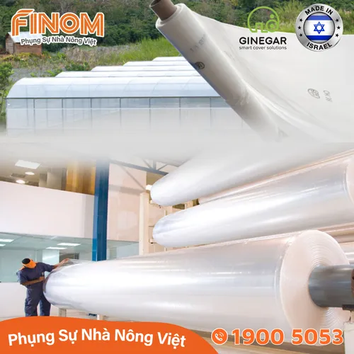 Màng lợp nhà kính Ginegar (Israel)
