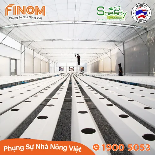 Ống thủy canh lục giác Speedy Access Thái Lan