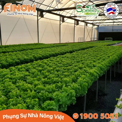 Ống thủy canh lục giác Speedy Access Thái Lan