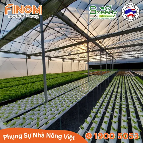 Ống thủy canh lục giác Speedy Access Thái Lan