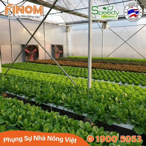 Ống thủy canh lục giác Speedy Access Thái Lan