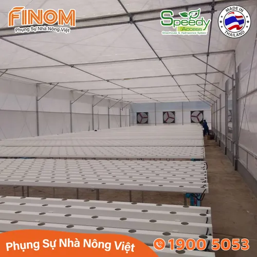Ống thủy canh lục giác Speedy Access Thái Lan