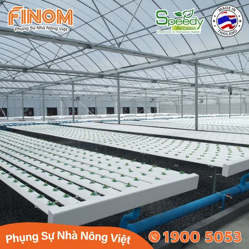Ống thủy canh lục giác Speedy Access Thái Lan