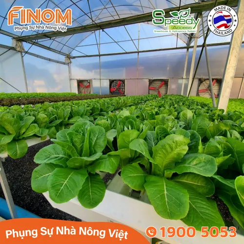 Ống thủy canh lục giác Speedy Access Thái Lan
