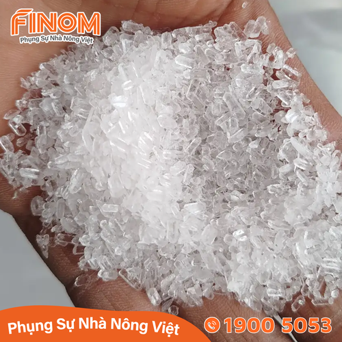 Phân bón Magie Sulphate MAGRO-S – Magnesium Sulphate Heptahydrate