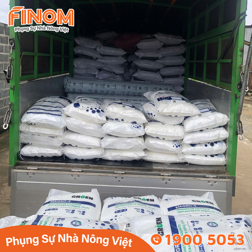 Phân bón Magie Sulphate MAGRO-S – Magnesium Sulphate Heptahydrate