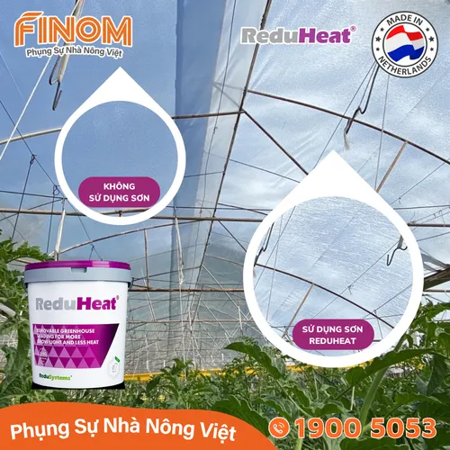 Sơn chống nóng nhà màng không rửa trôi Reduheat