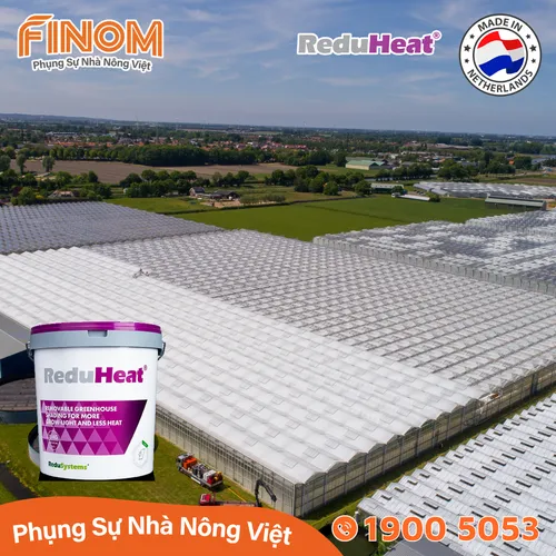 Sơn chống nóng nhà màng không rửa trôi Reduheat