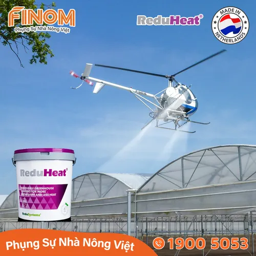 Sơn chống nóng nhà màng không rửa trôi Reduheat