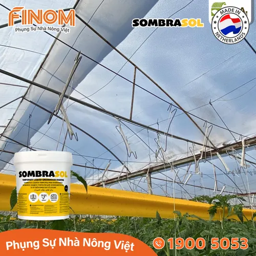 Sơn chống nóng nhà màng Sombrasol