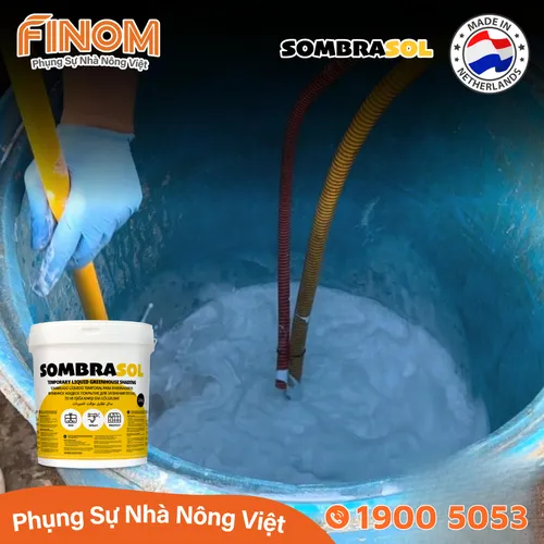 Sơn chống nóng nhà màng Sombrasol