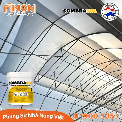 Sơn chống nóng nhà màng Sombrasol