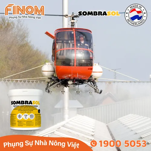 Sơn chống nóng nhà màng Sombrasol