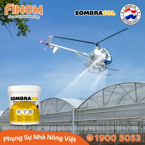 Sơn chống nóng nhà màng Sombrasol