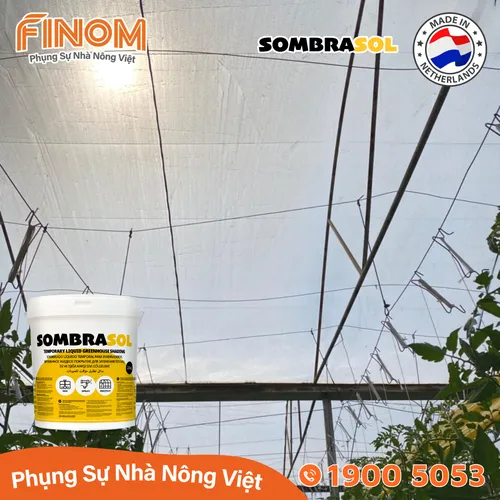 Sơn chống nóng nhà màng Sombrasol