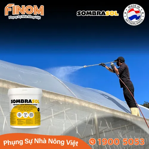 Sơn chống nóng nhà màng Sombrasol