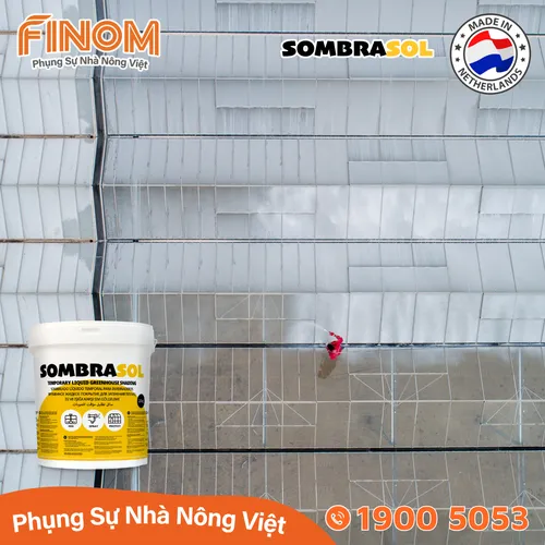 Sơn chống nóng nhà màng Sombrasol