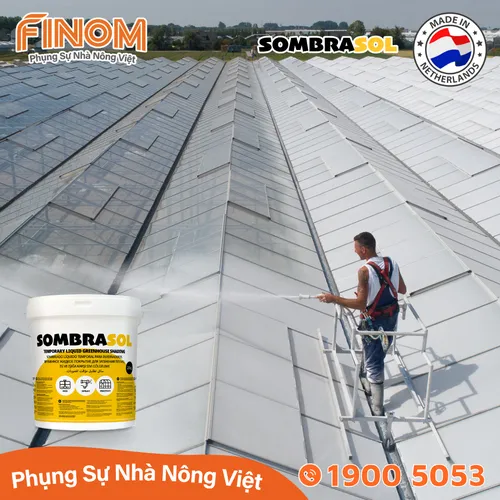 Sơn chống nóng nhà màng Sombrasol
