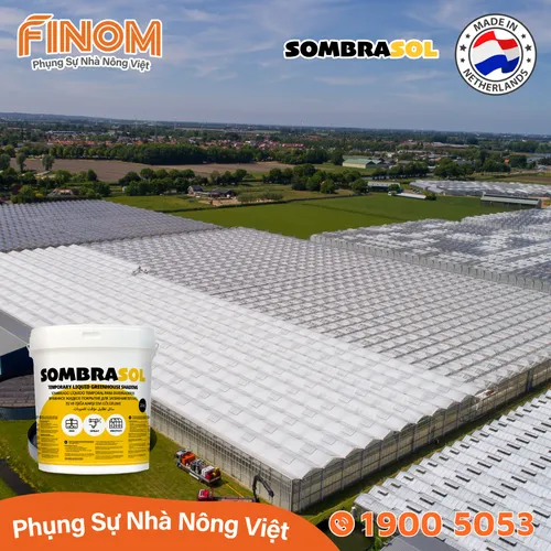 Sơn chống nóng nhà màng Sombrasol
