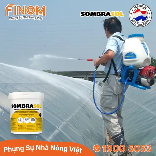 Sơn chống nóng nhà màng Sombrasol
