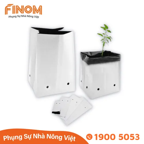 Túi PE trồng cây giá thể