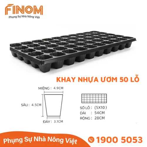 Vỉ nhựa ươm cây 50 lỗ và 72 lỗ