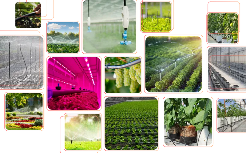 HỆ THỐNG TƯỚI