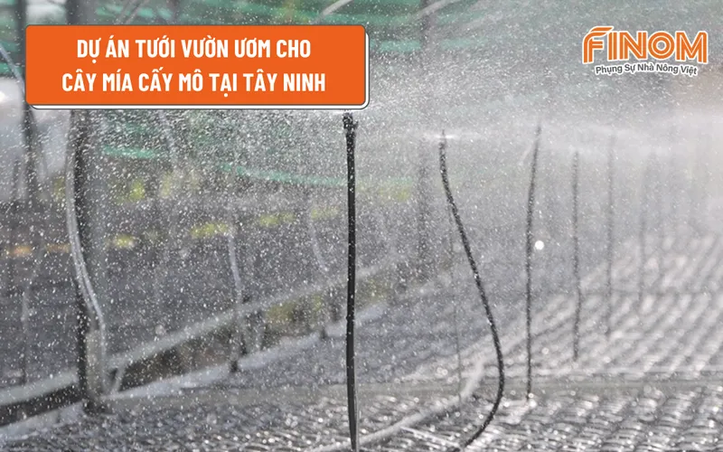 DỰ ÁN TƯỚI VƯỜN ƯƠM CHO CÂY MÍA CẤY MÔ TẠI TÂY NINH
