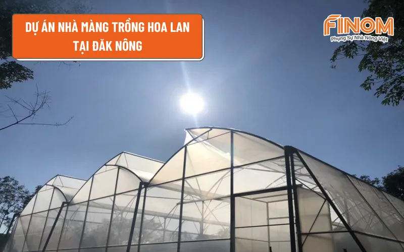 DỰ ÁN NHÀ MÀNG TRỒNG HOA LAN TẠI ĐĂK NÔNG