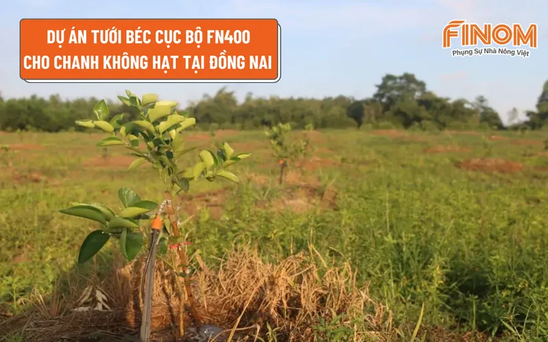 DỰ ÁN TƯỚI BÉC CỤC BỘ FN400 CHO CHANH KHÔNG HẠT TẠI ĐỒNG NAI