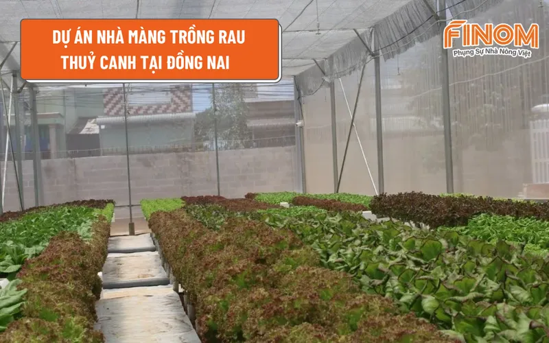 DỰ ÁN NHÀ MÀNG TRỒNG RAU THUỶ CANH TẠI ĐỒNG NAI