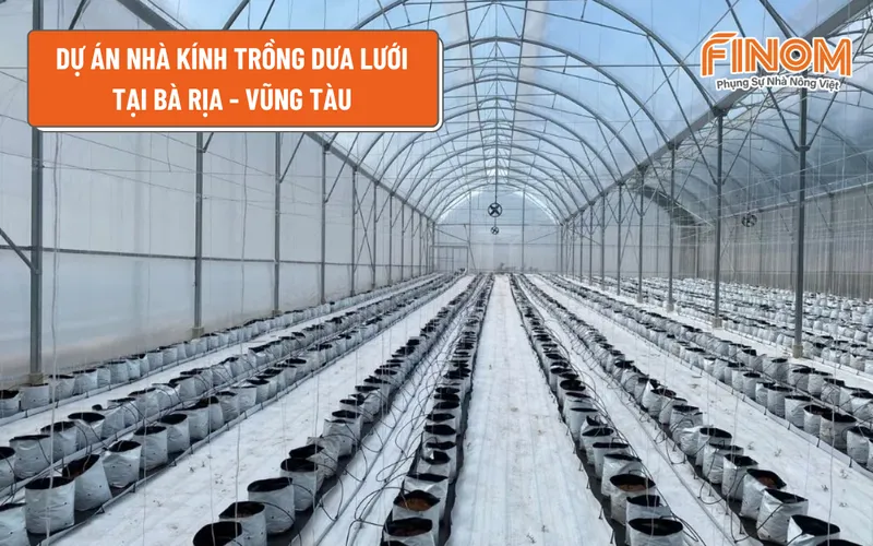 DỰ ÁN NHÀ KÍNH TRỒNG DƯA LƯỚI TẠI BÀ RỊA - VŨNG TÀU