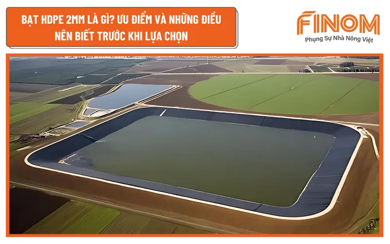 BẠT HDPE 2MM LÀ GÌ? ƯU ĐIỂM VÀ NHỮNG ĐIỀU NÊN BIẾT TRƯỚC KHI LỰA CHỌN