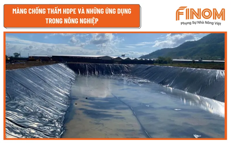 MÀNG CHỐNG THẤM HDPE VÀ NHỮNG ỨNG DỤNG TRONG NÔNG NGHIỆP