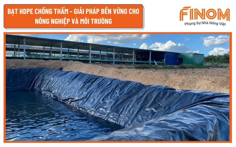 BẠT HDPE CHỐNG THẤM - GIẢI PHÁP BỀN VỮNG CHO NÔNG NGHIỆP VÀ MÔI TRƯỜNG