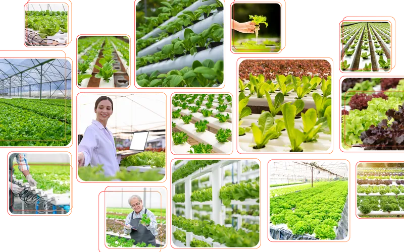 HỆ THỐNG THỦY CANH