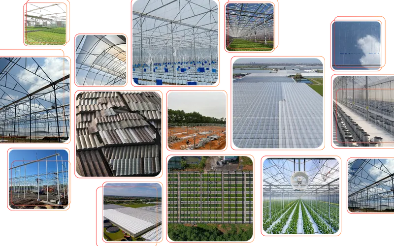 GIẢI PHÁP NHÀ MÀNG