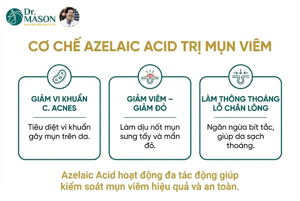 cơ chế azelaic trị mụn viêm