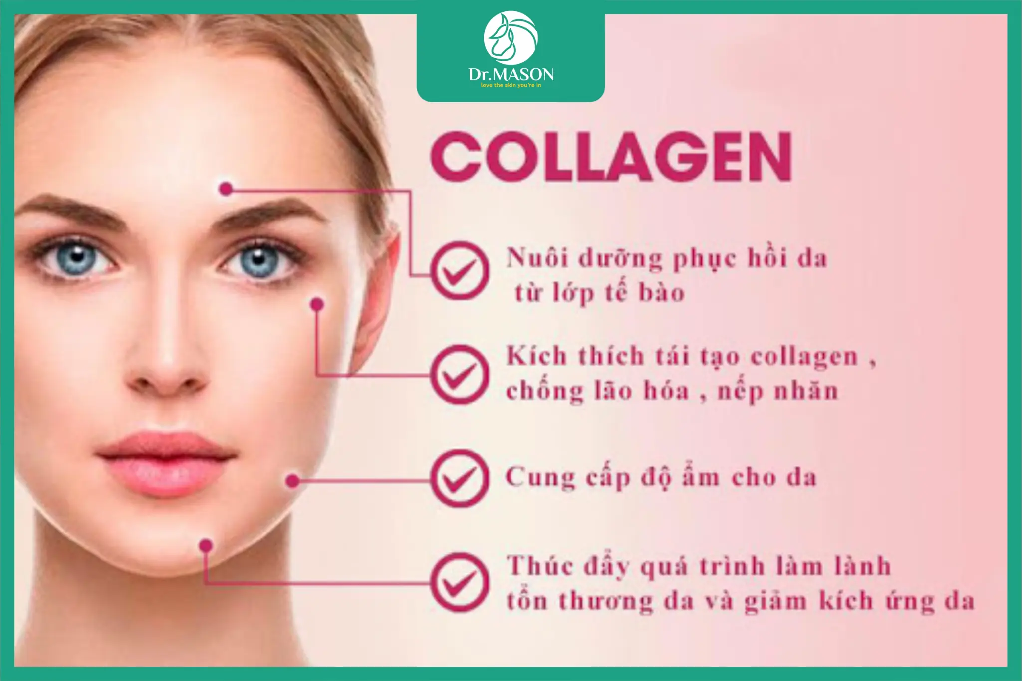 Minh họa cấu trúc collagen trong da và vai trò của collagen đối với độ đàn hồi, săn chắc và lão hóa da