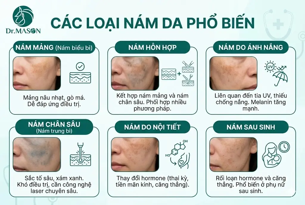 phân loại các loại nám